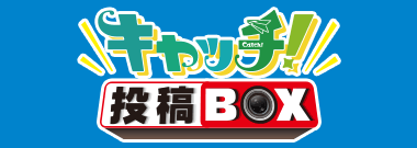 キャッチ！投稿BOX